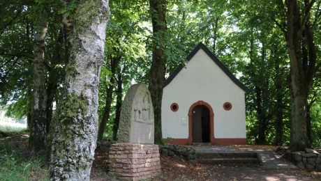 Zwischen Eppelborn und Illingen sprudelt der Wallenborn aus dem Boden