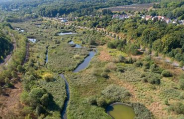 Naturnahe Gewässerrenaturierung als effektiver Hochwasserschutz RAG Montan Immobilien-Tochter setzt Maßstäbe im Saarland