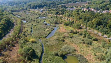 Naturnahe Gewässerrenaturierung als effektiver Hochwasserschutz RAG Montan Immobilien-Tochter setzt Maßstäbe im Saarland