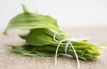 Heimische Gewürzpflanzen – Bärlauch