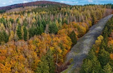 Herbst in unseren heimischen Wäldern