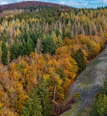 Herbst in unseren heimischen Wäldern