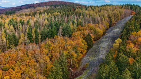 Herbst in unseren heimischen Wäldern