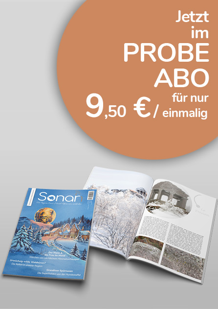 probeabo Probe Abo