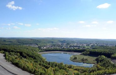 Der Saarkohlenwald ist Waldgebiet des Jahres Der Saarkohlenwald ist Waldgebiet des Jahres