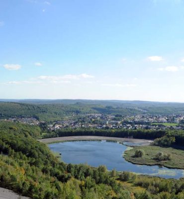 Der Saarkohlenwald ist Waldgebiet des Jahres Der Saarkohlenwald ist Waldgebiet des Jahres