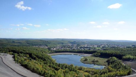 Der Saarkohlenwald ist Waldgebiet des Jahres