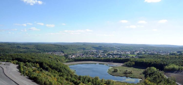 Der Saarkohlenwald ist Waldgebiet des Jahres