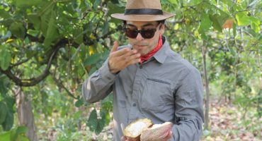 Der echte Geschmack von Kakao Der echte Geschmack von Kakao