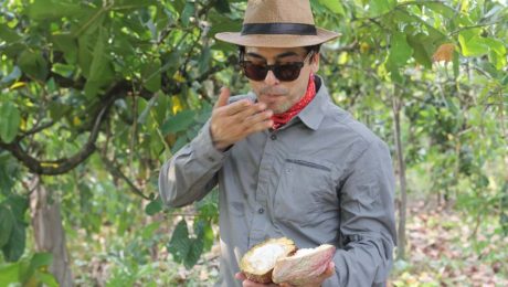 Der echte Geschmack von Kakao