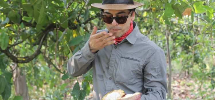 Der echte Geschmack von Kakao Der echte Geschmack von Kakao