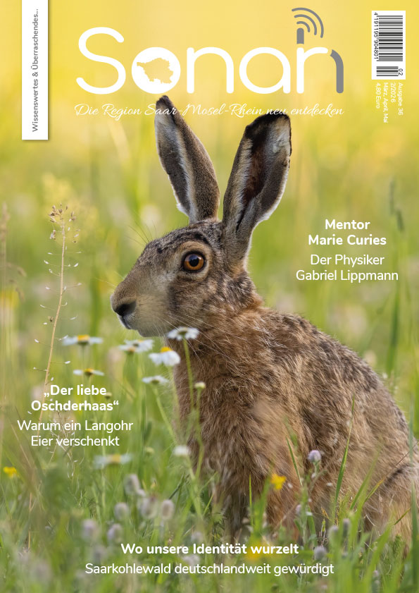 Sonah Magazin Ausgabe 36 Sonah Magazin Ausgabe 36