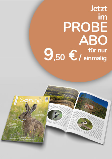 probeabo Probe-Abo