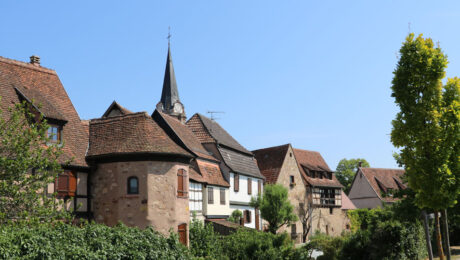 Alte Mauern & Weinreben Unterwegs rund um die Heimat des Gewürztraminers