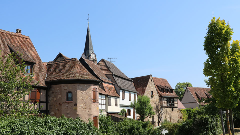 Alte Mauern & Weinreben Unterwegs rund um die Heimat des Gewürztraminers Alte Mauern & Weinreben Unterwegs rund um die Heimat des Gewürztraminers